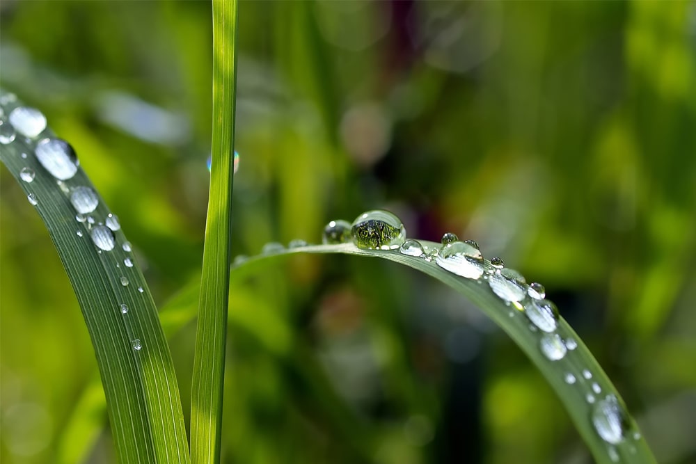 Le récupérateur d'eau de pluie TecTake (200 L) est en promotion sur cette  boutique de renom - NeozOne