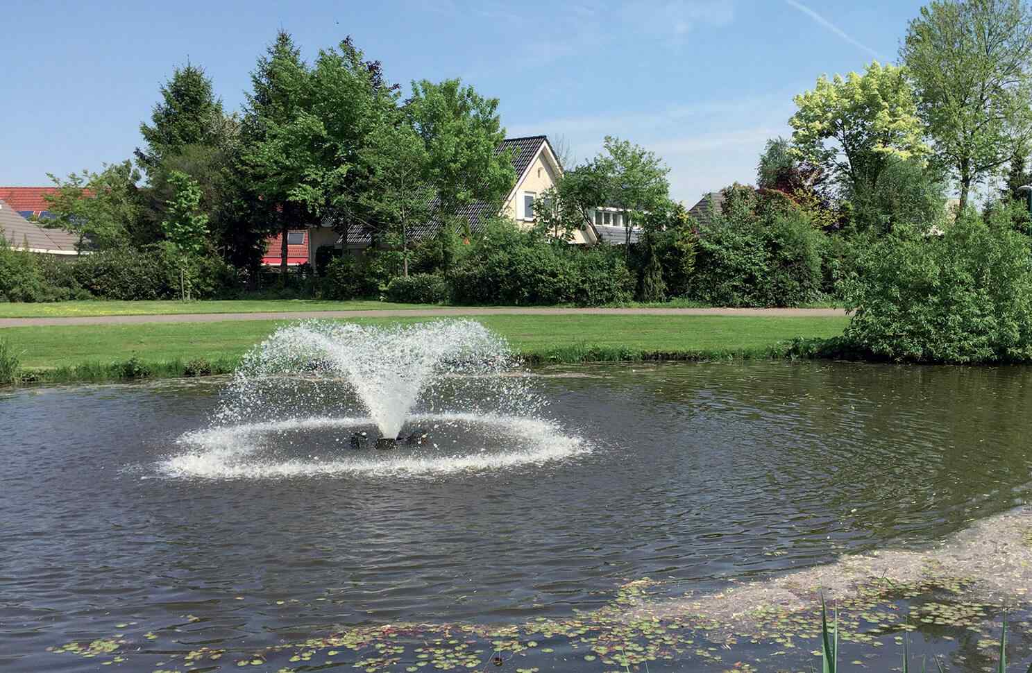 L'eau dans le jardin